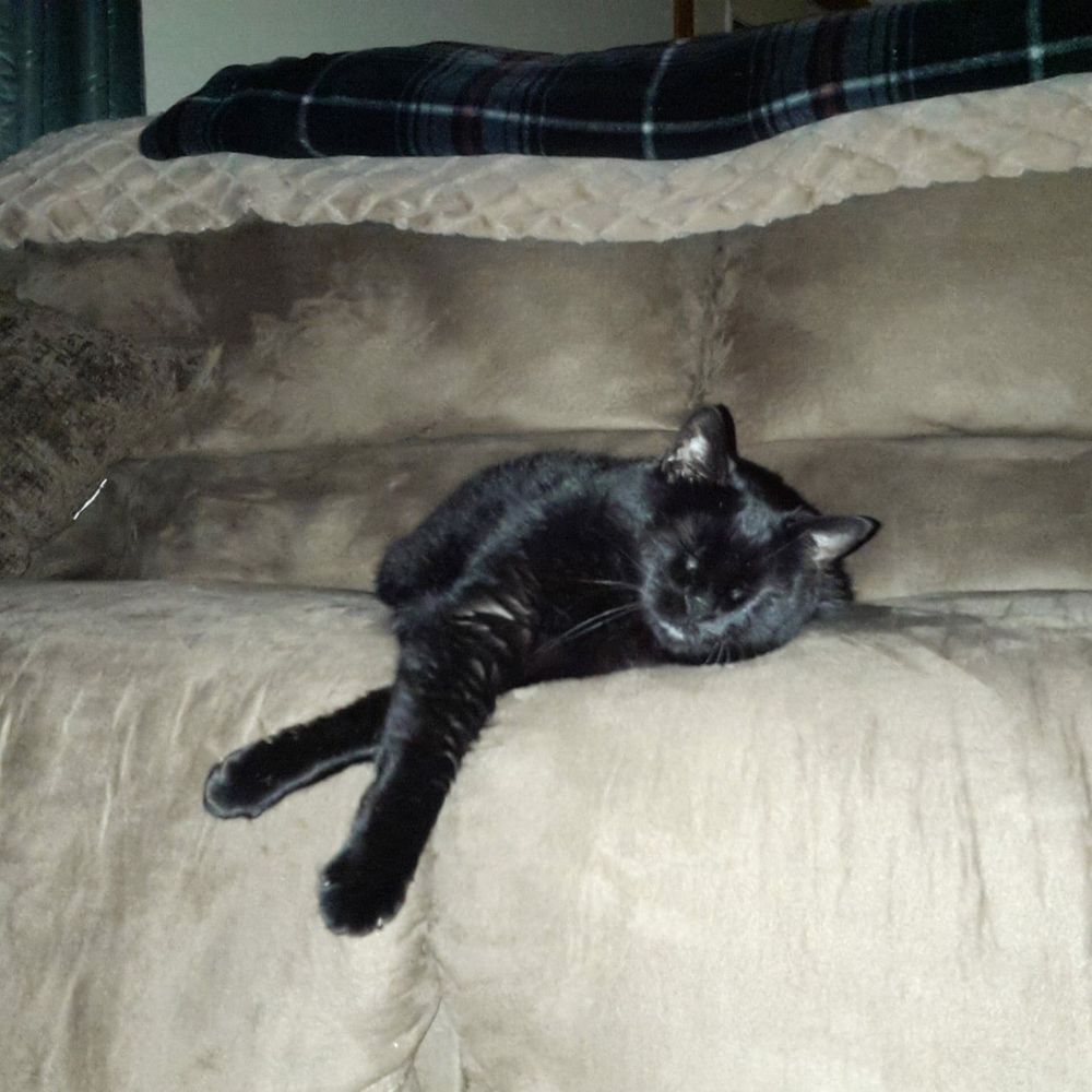 Meet your Posher, Erin